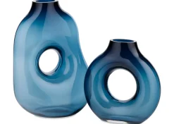 Ravi Vase
