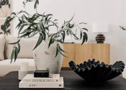 Riva Coaster Set with Holder