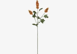 Scarlett Firethorn Stem Orange