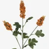 Scarlett Firethorn Stem Orange