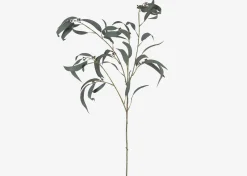 Shay Gumnut Leaf Branch