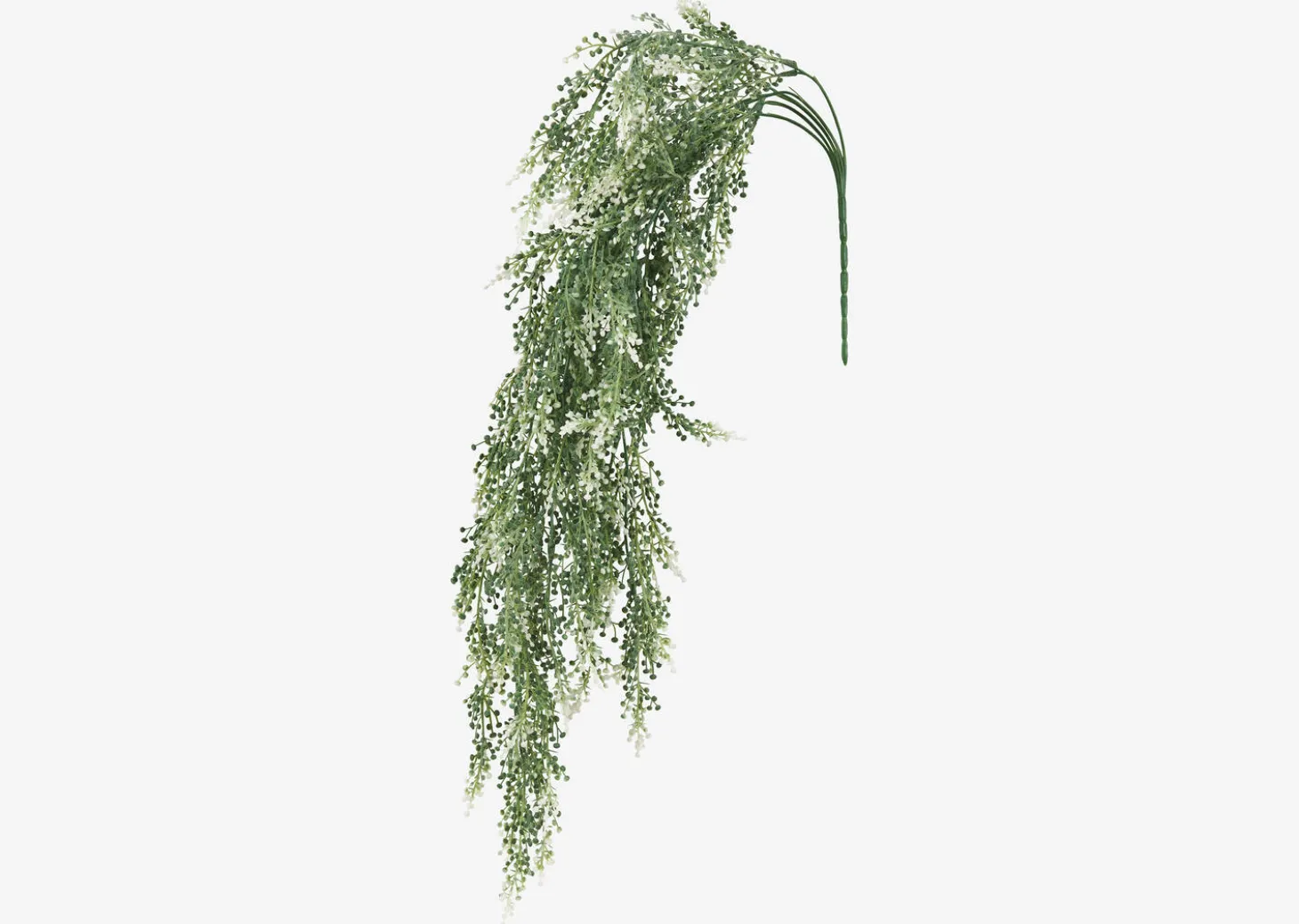 Sweet Annie Hanging Branch