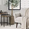 Tristin Olive Tree Potted Large