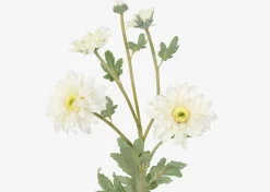 Vera Chrysanthemum Branch
